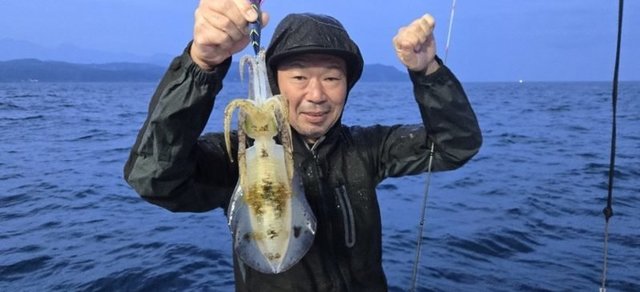 アオリイカ