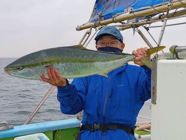 ワラサ(ブリ)