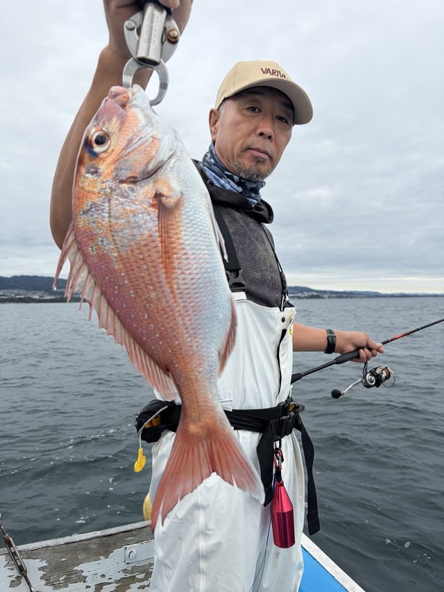 マダイ