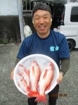 アカムツ