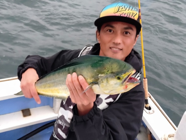 シイラ