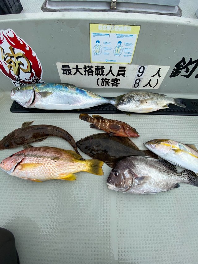 ハマチ(ブリ)