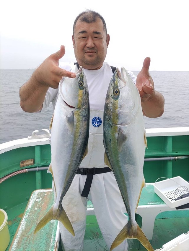 ワラサ(ブリ)