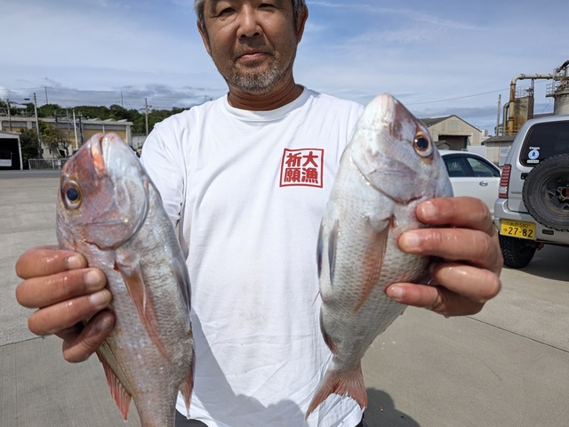 マダイ