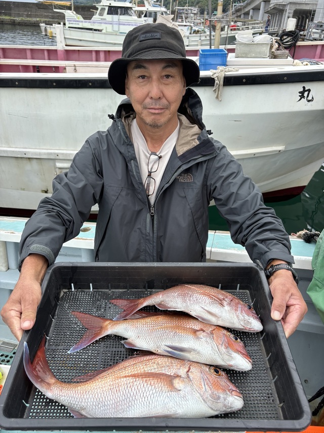 タイ(マダイ)