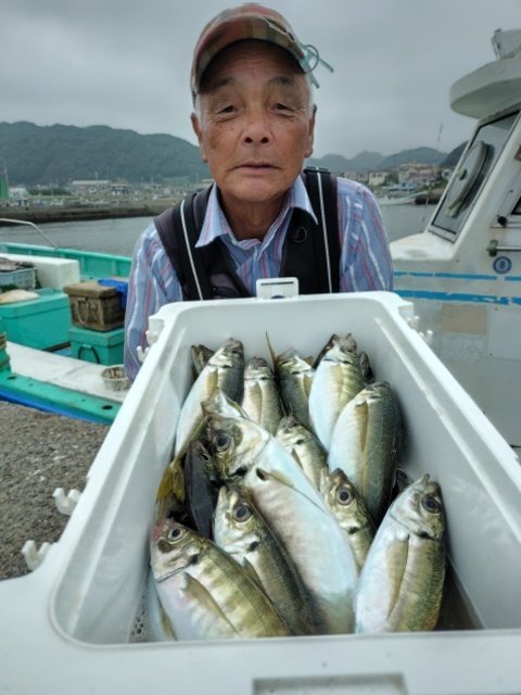 アジ(マアジ)