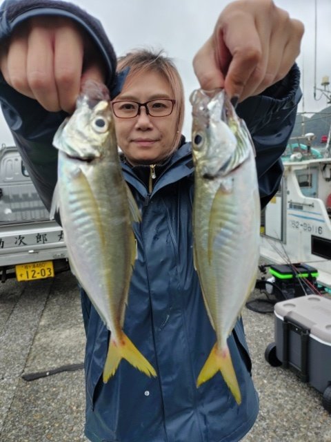 アジ(マアジ)