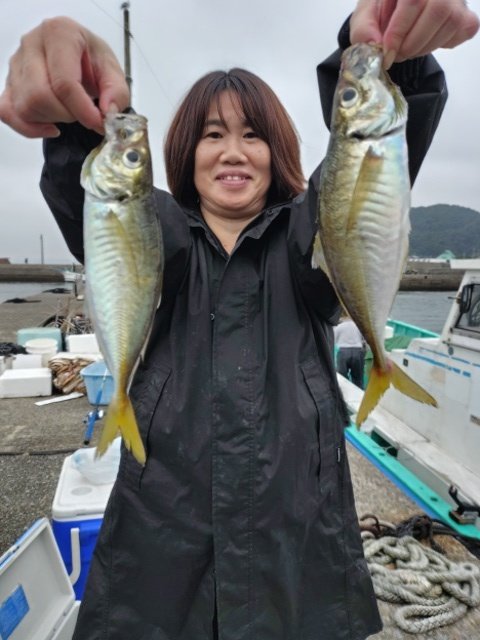 アジ(マアジ)
