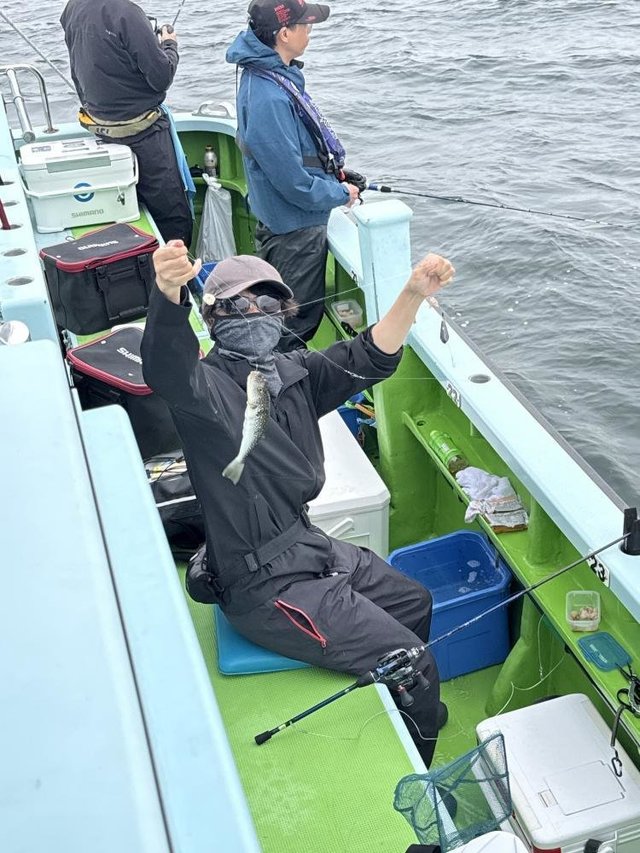 ショウサイフグ