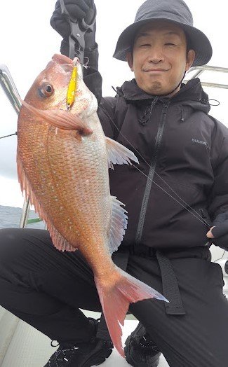 マダイ