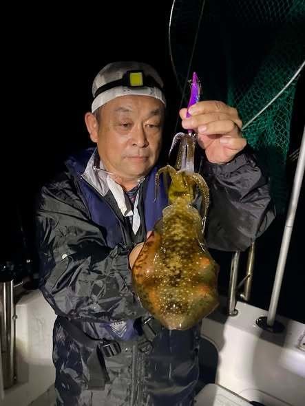 アオリイカ