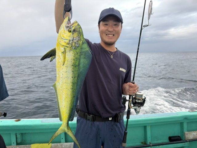 ペンペン(シイラ)