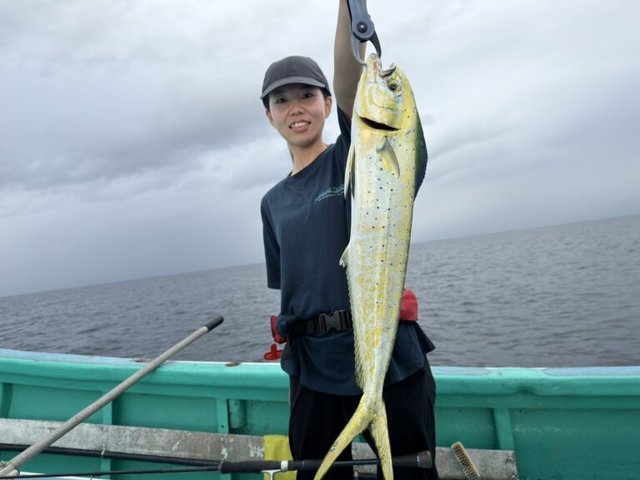 ペンペン(シイラ)