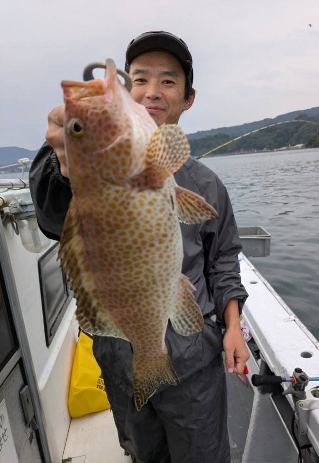 オオモンハタ