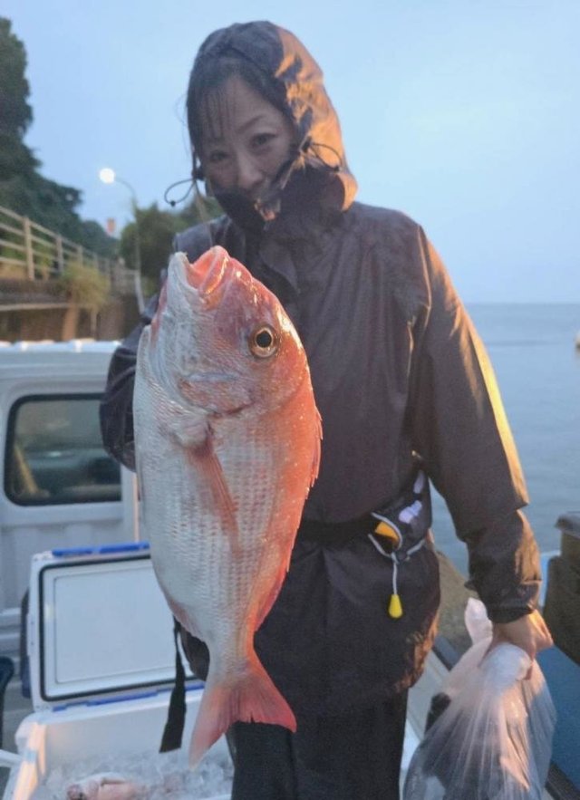 マダイ
