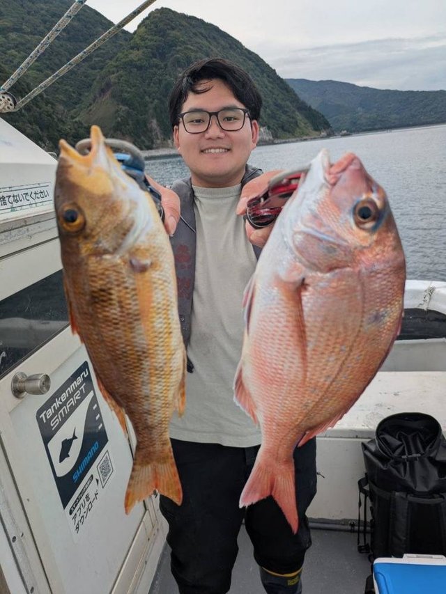 マダイ