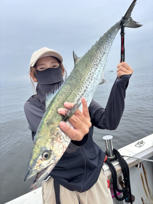 サワラ