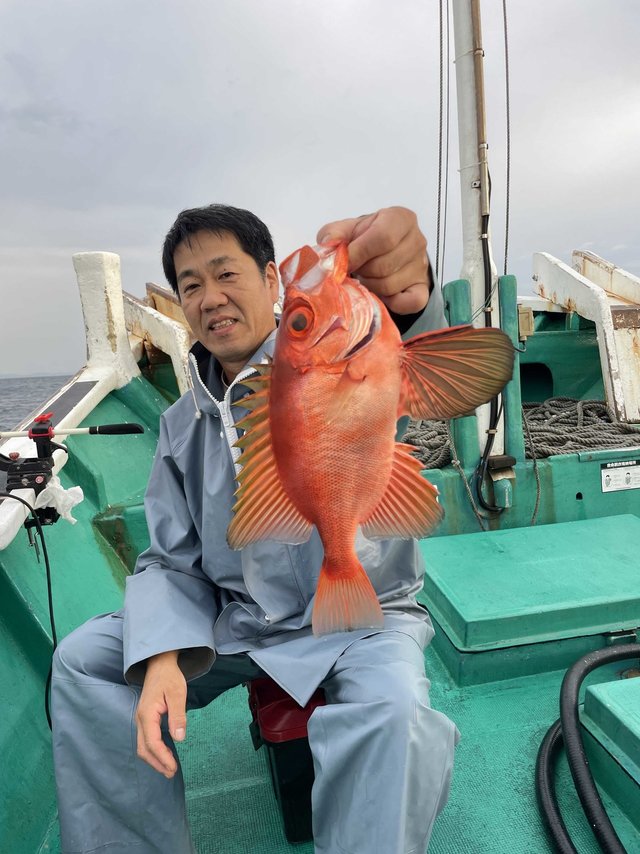 ウマヅラハギを関西で釣った最新釣果、釣り情報【2026年10月】