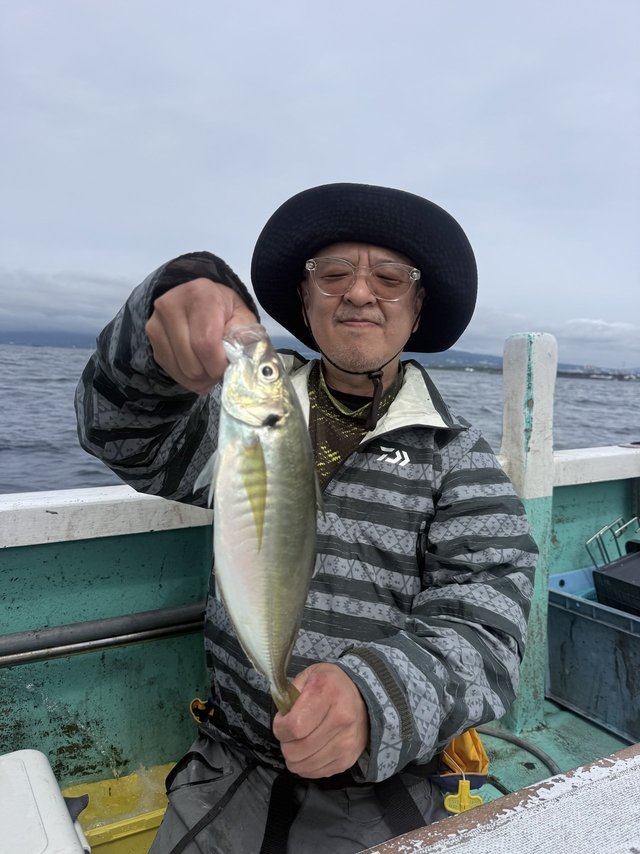 アジ(マアジ)