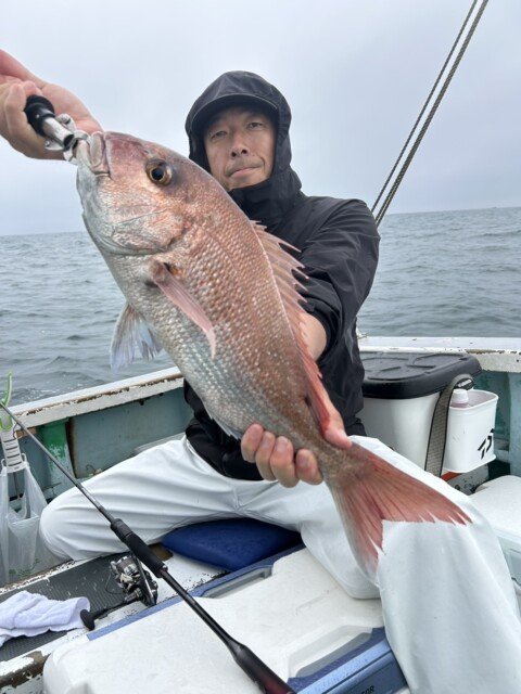 マダイ