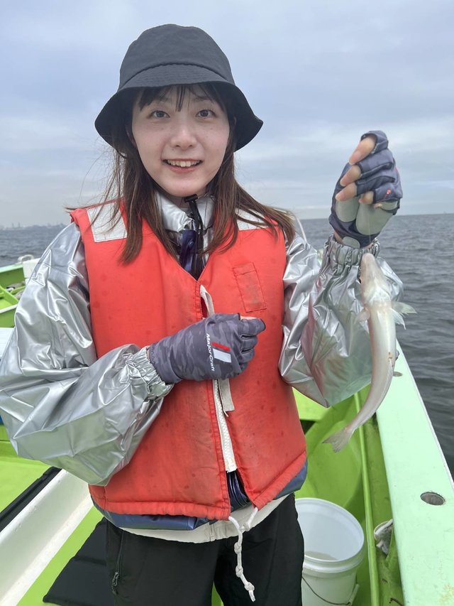 シロギス