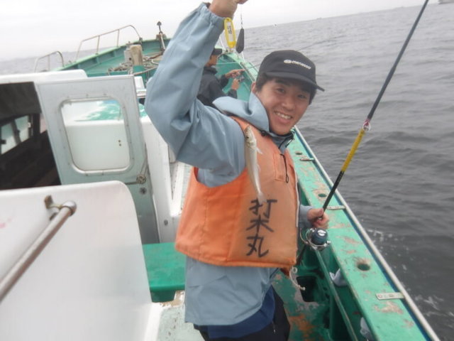 シロギス
