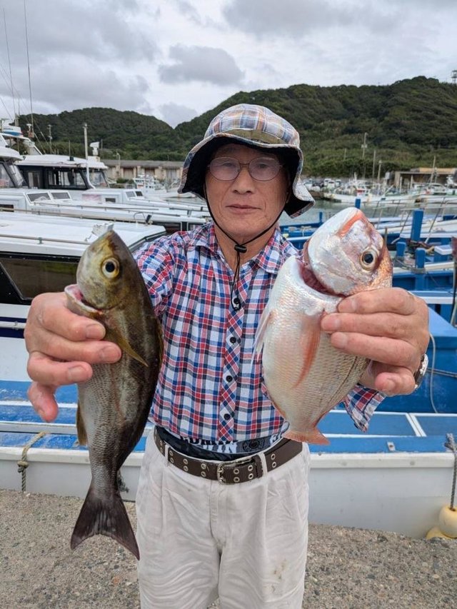 ハナダイ(チダイ)・イサキ