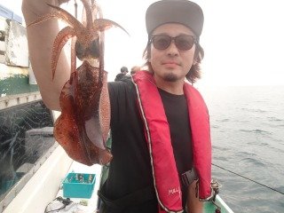 アオリイカ
