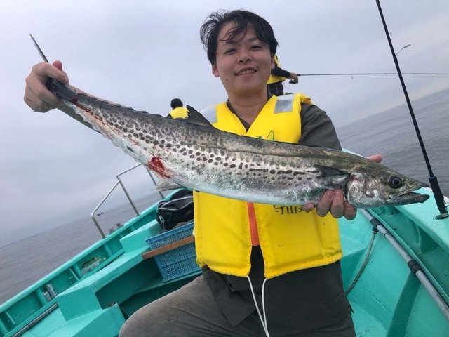 サワラ