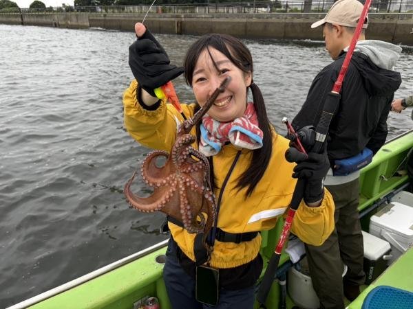 マダコ