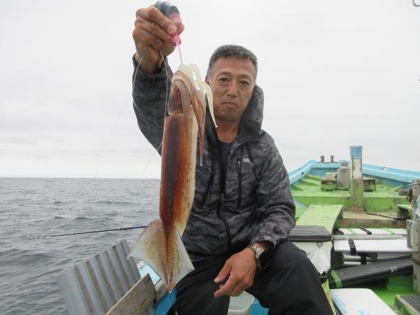 スルメイカ