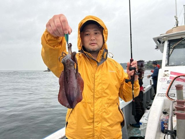 アオリイカ