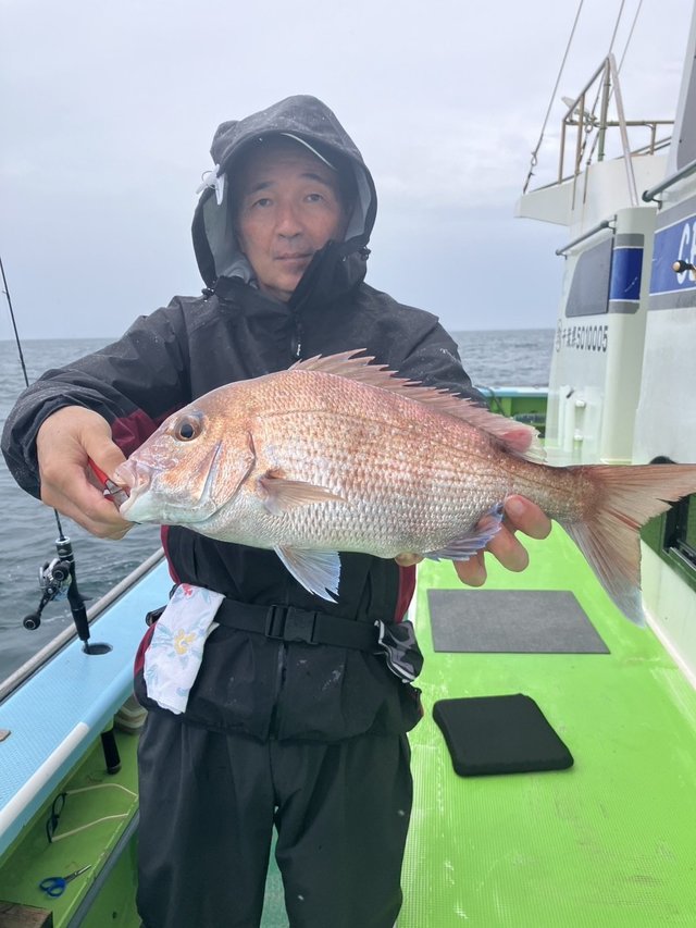 マダイ