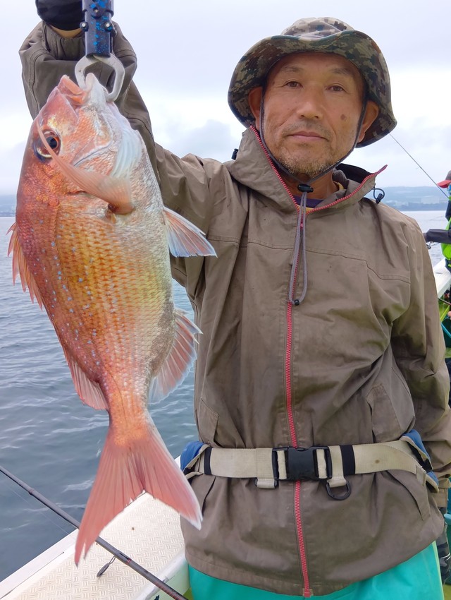 マダイ