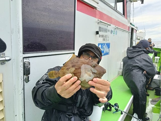 カワハギ