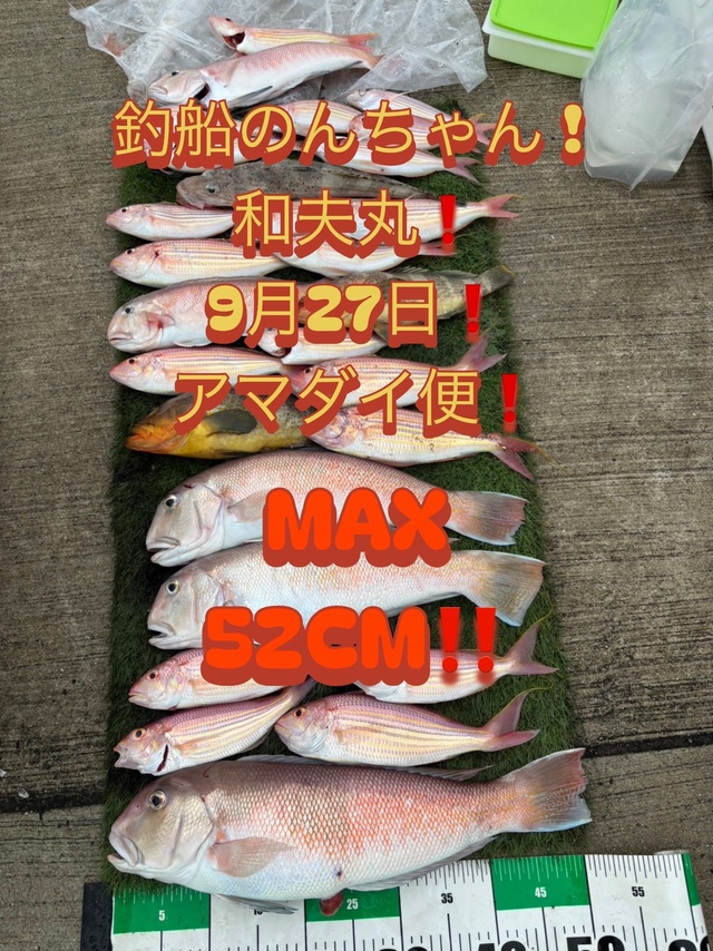 シロアマダイ