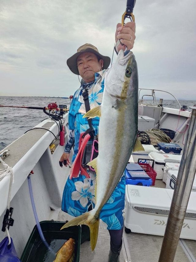 ヒラマサ