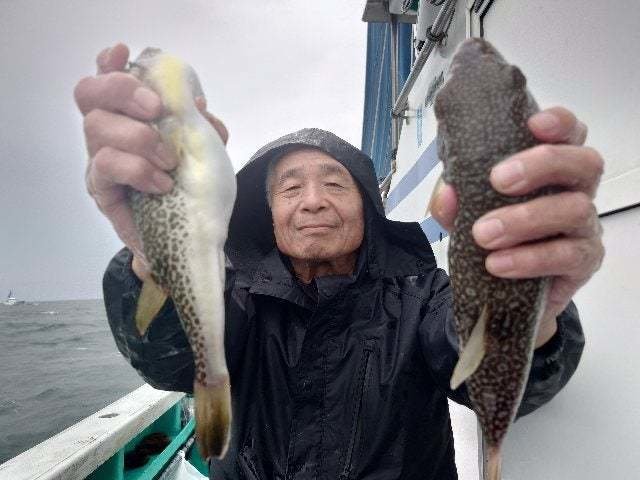 ショウサイフグ
