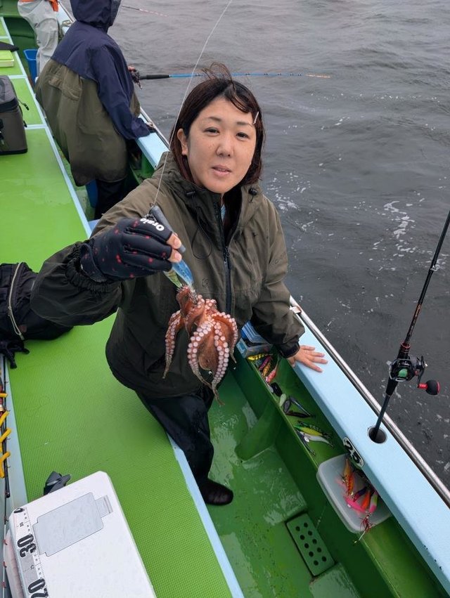 マダコ