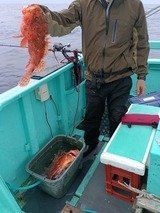 オニカサゴ