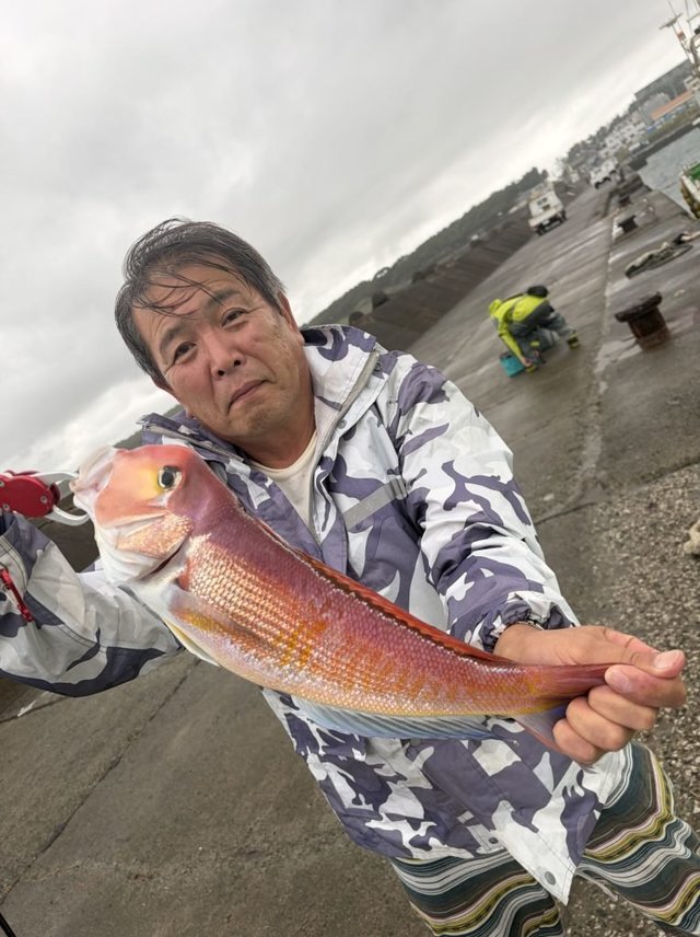 アマダイ(アカアマダイ)