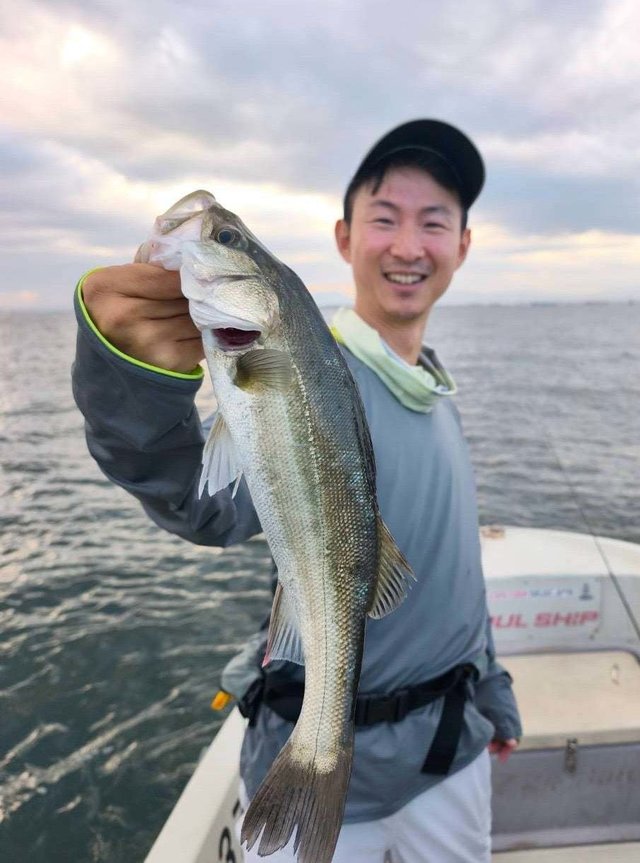関西で釣れたスズキの最新釣果、釣り情報【2026年10月】