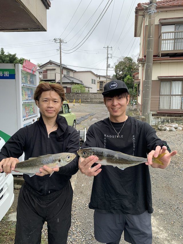 アジ(マアジ)