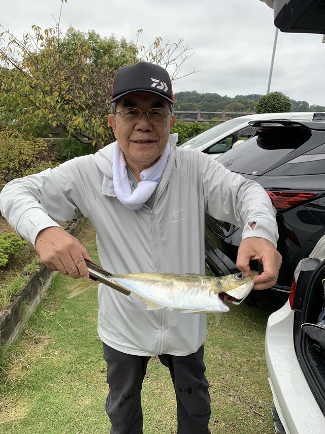 アジ(マアジ)