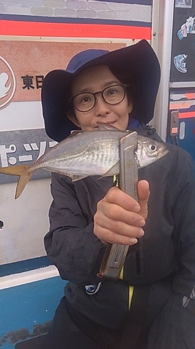 アジ(マアジ)