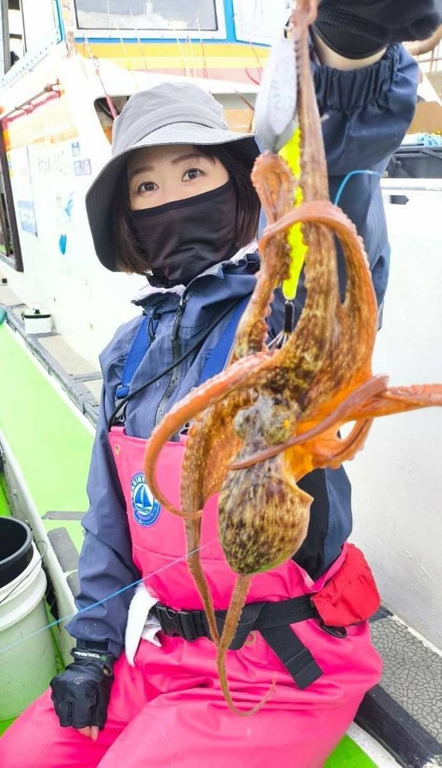 マダコ