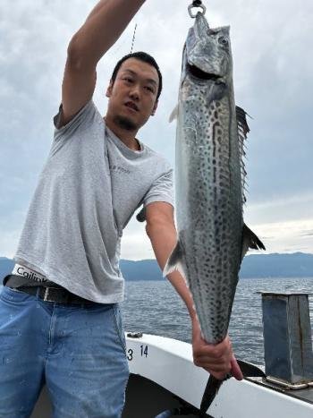 サワラ