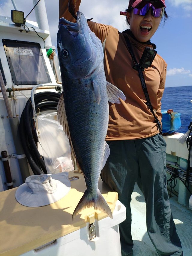 アオチビキ