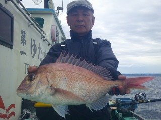 マダイ
