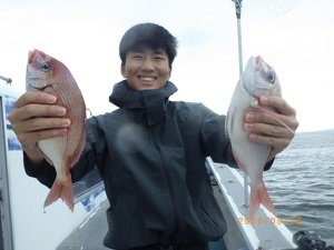 タイ(マダイ)